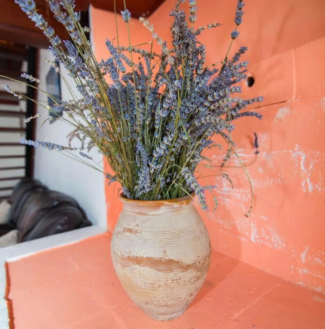 Apartment Wohnung Franko In Veli Losinj